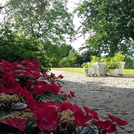 Country House Clos Des Hortensias Blegny Dış mekan fotoğraf