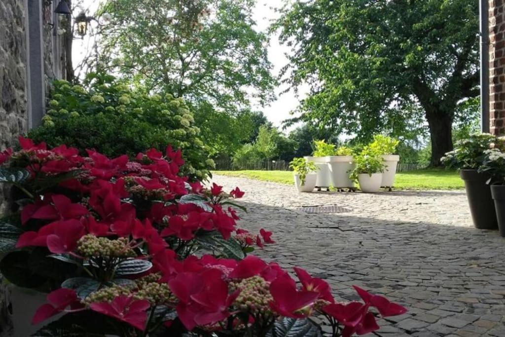Country House Clos Des Hortensias Blegny Dış mekan fotoğraf