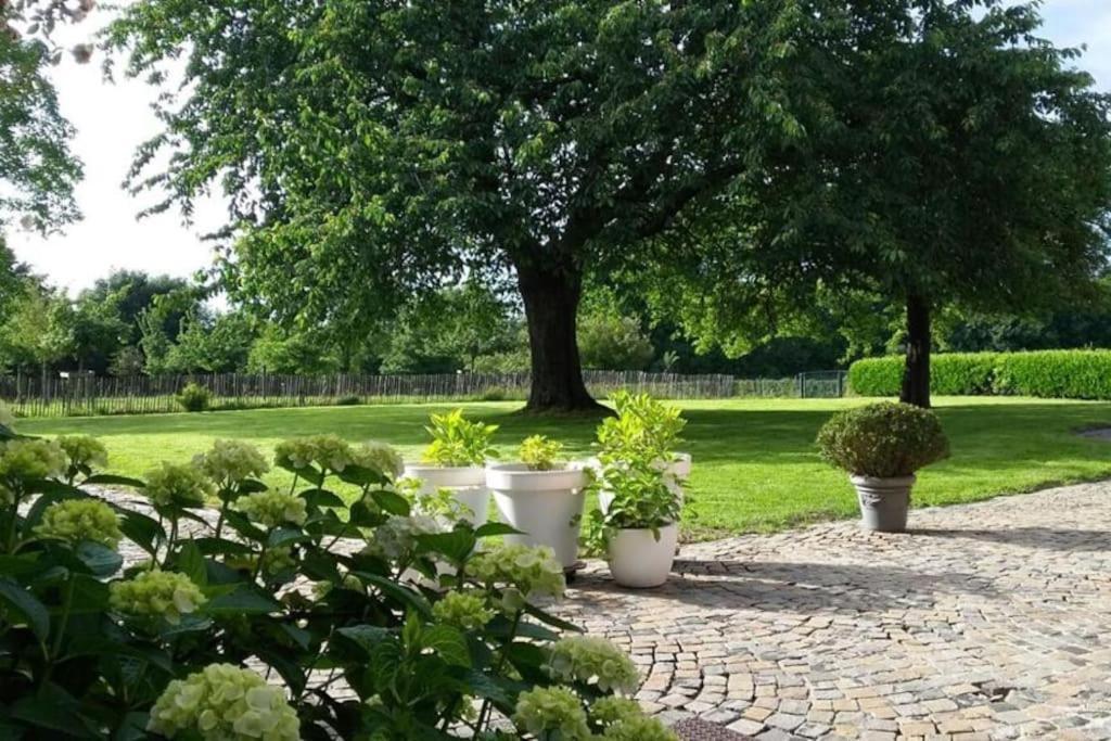 Country House Clos Des Hortensias Blegny Dış mekan fotoğraf